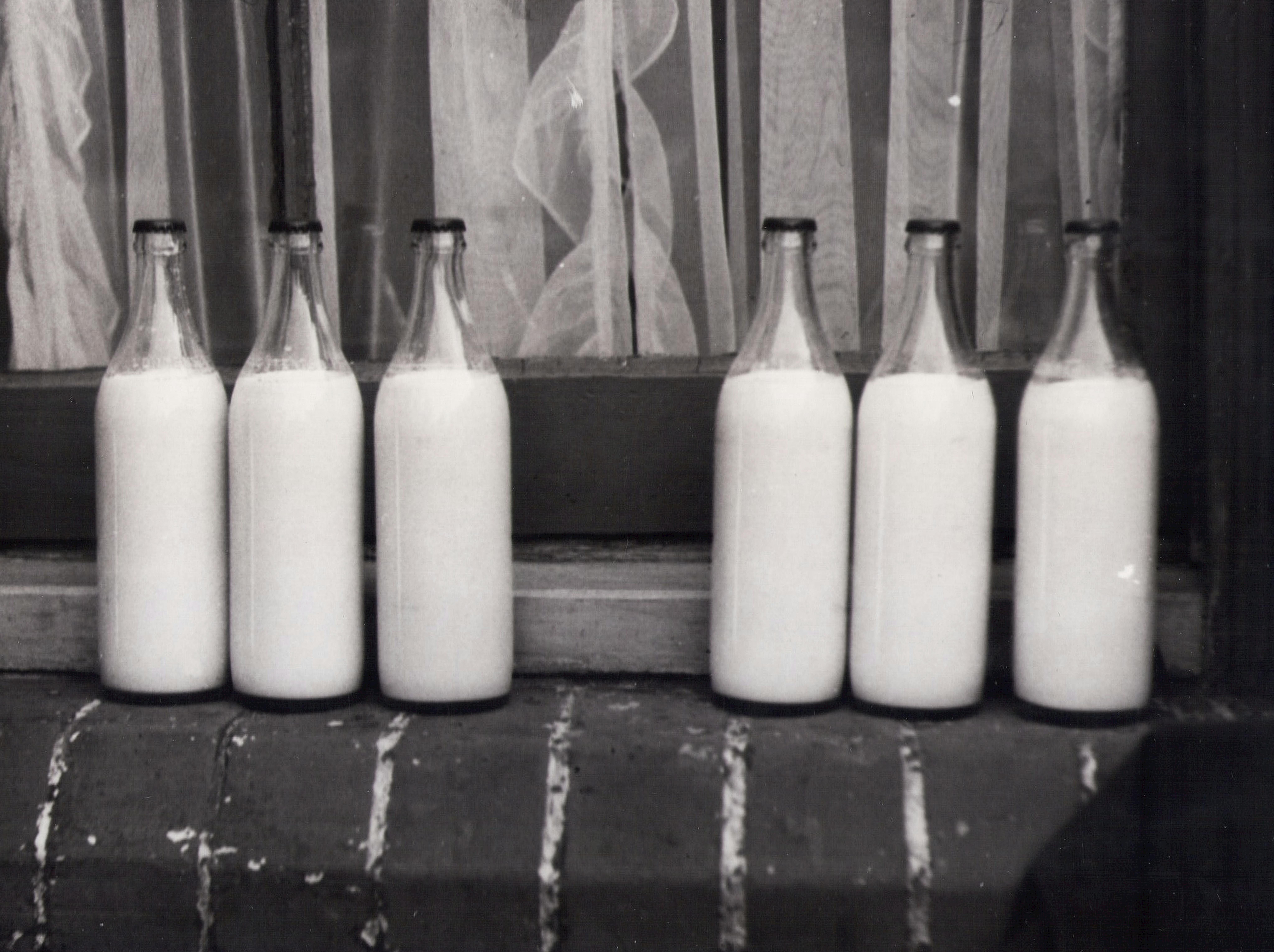 Fresh Milk Bottles