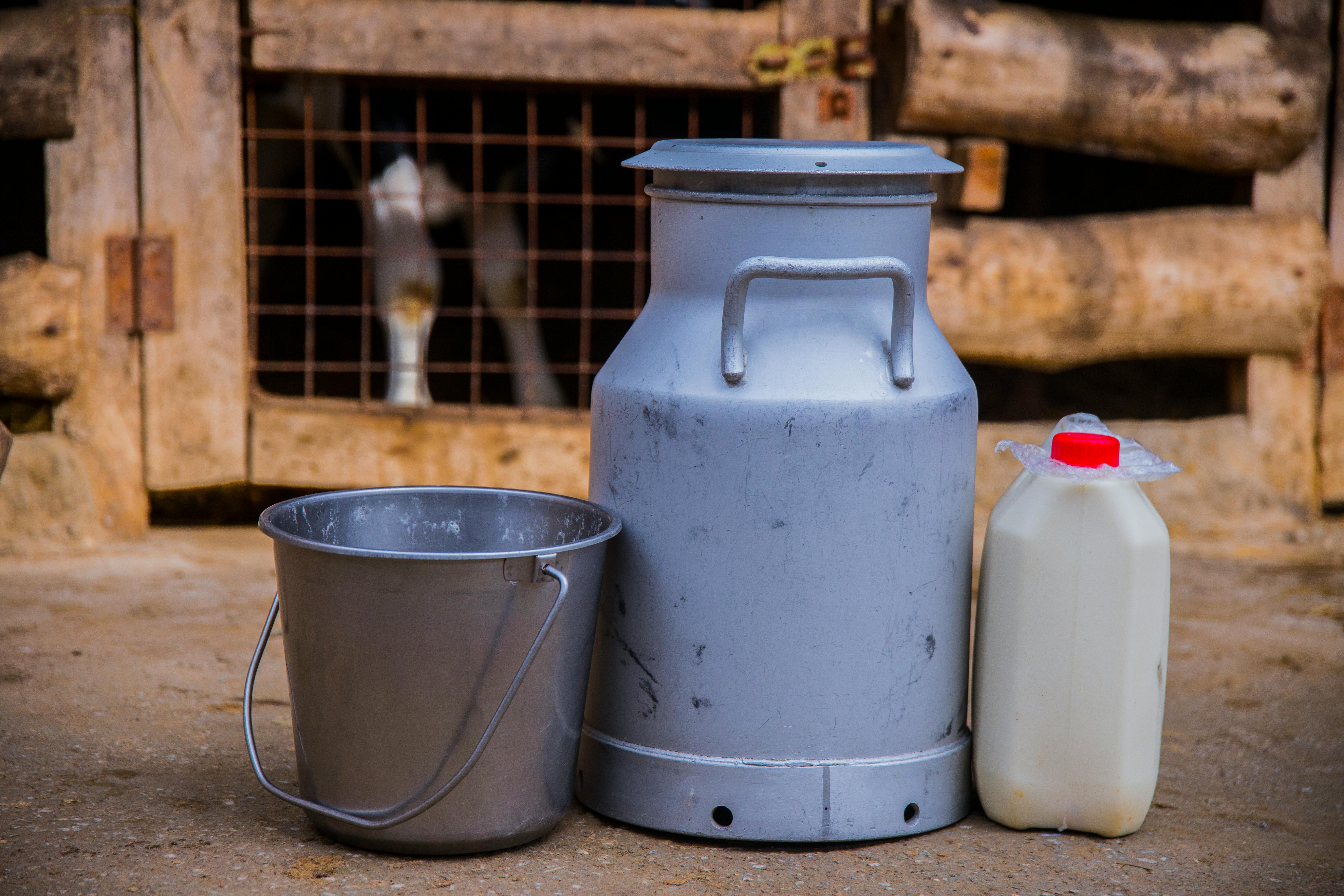 Fresh Milk Supply